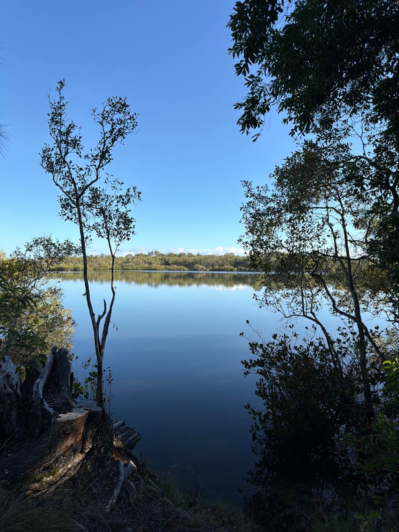 walking near me in Weyba Creek Conservation Park in autumn