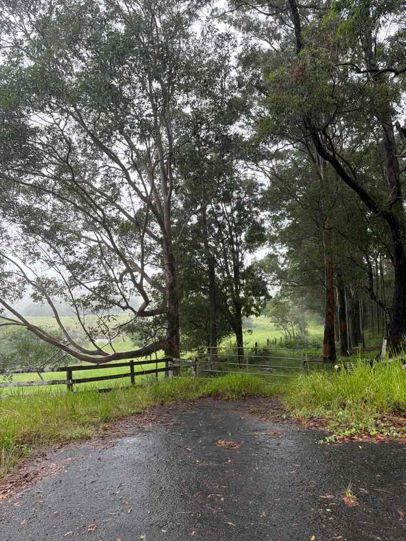 walking near me in Triunia National Park in autumn