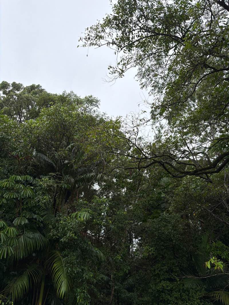 walking near me in Palmview Conservation Park in autumn