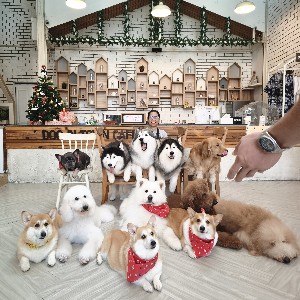 ARLENA BUCAO - 3PPG/TPS profile