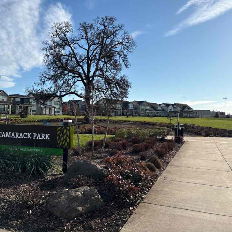 mathew.joseph post 1