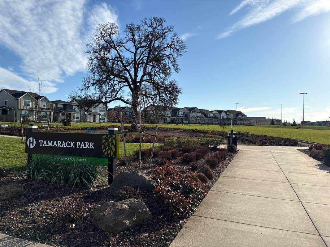 walking near me in Tamarack Park in winter