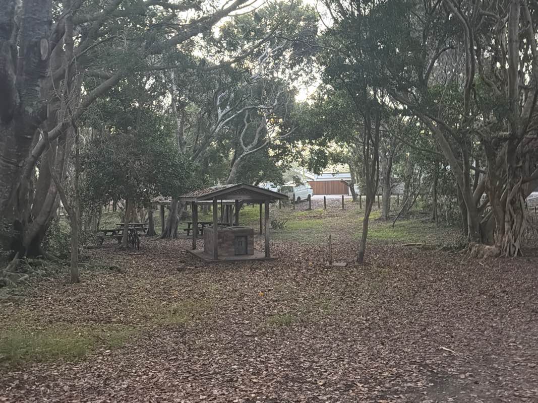 walking near me in Gaggin Memorial Park in autumn