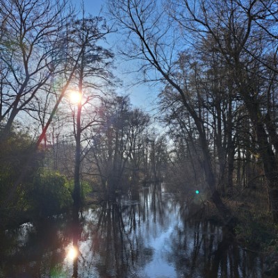 Движение это жизнь Elena post image