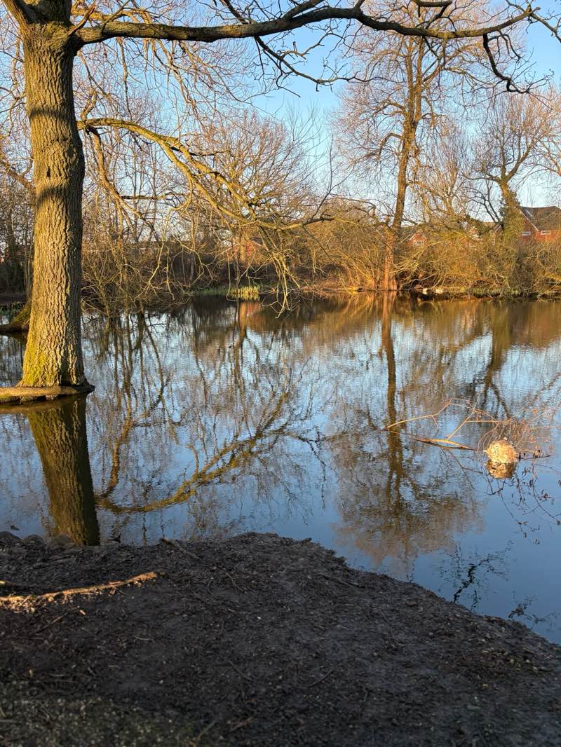 walking near me in Bruntwood Park in winter