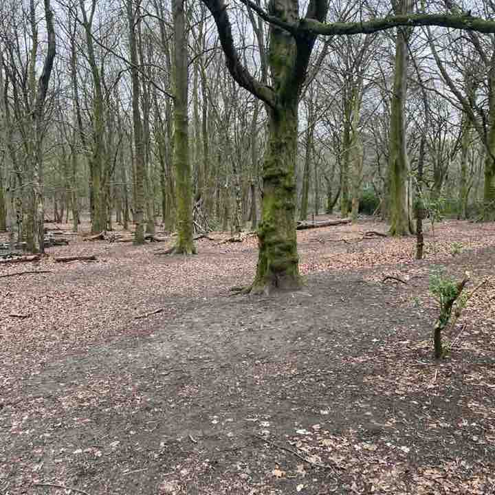 Tor Hindle post 1