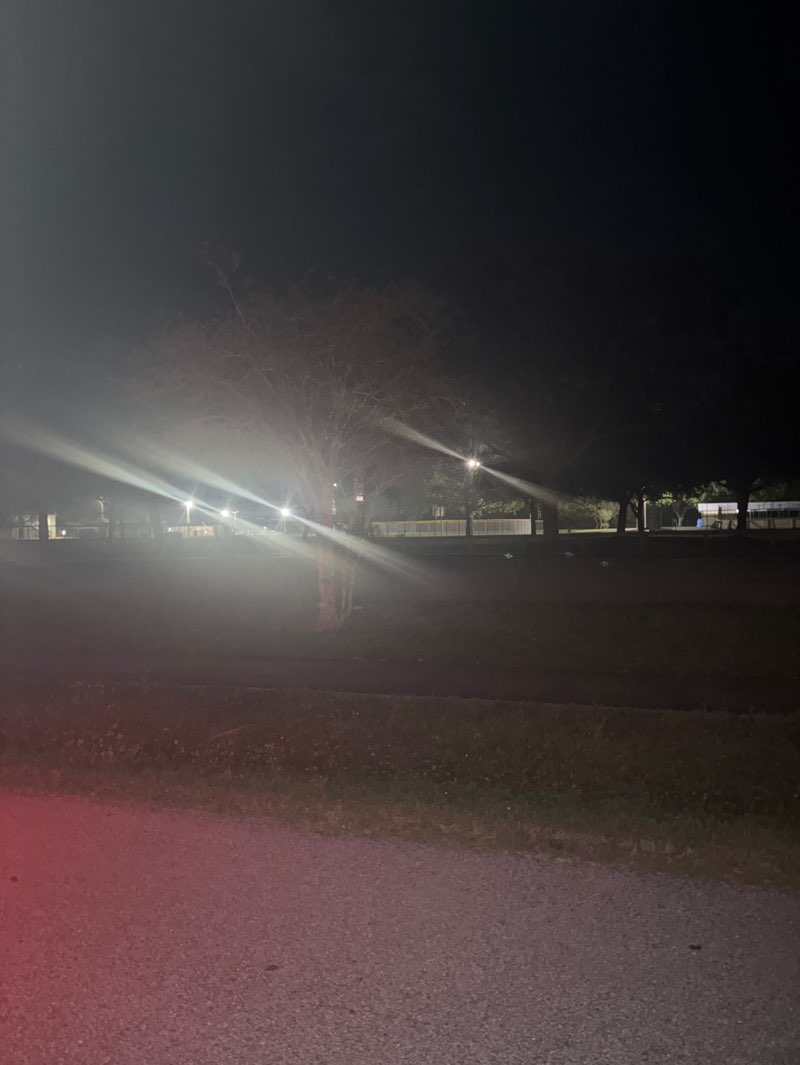 walking near me in Liberty Park in spring