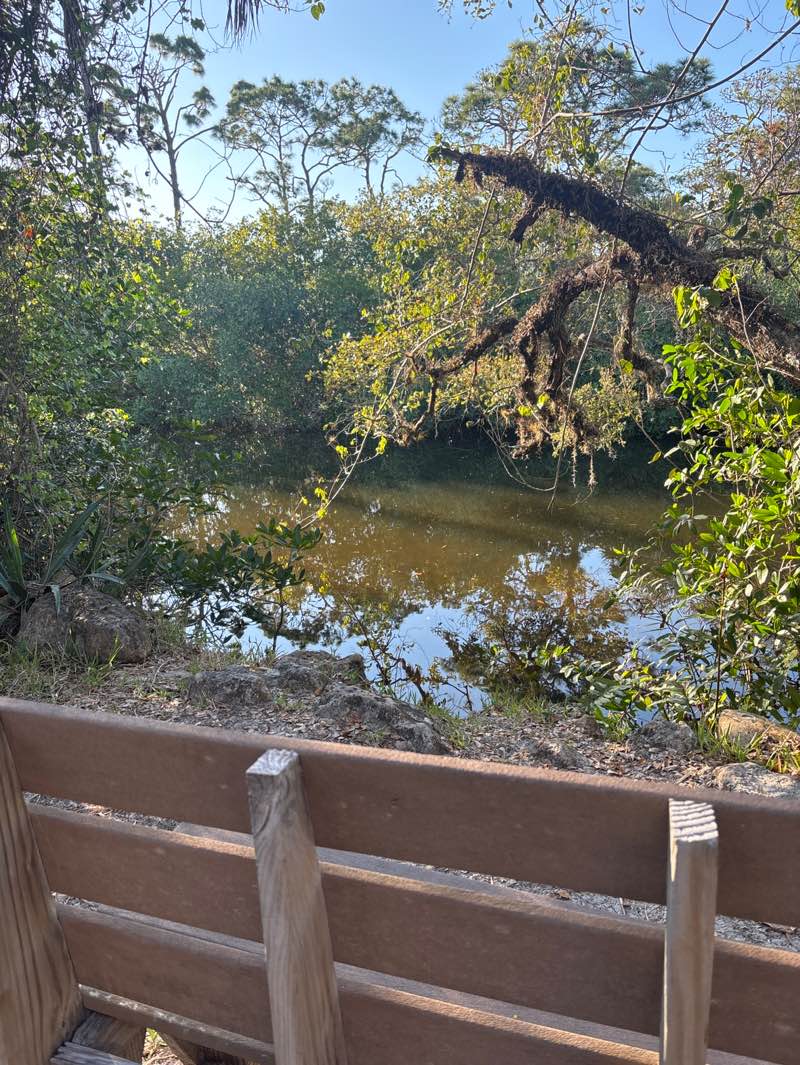 walking near me in Koreshan State Historic Site in spring