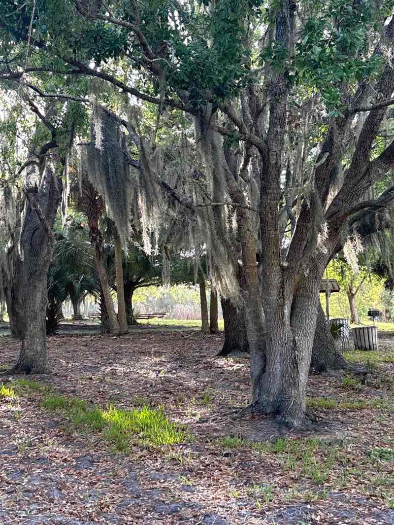 walking near me in F. Burton Smith Regional Park in spring