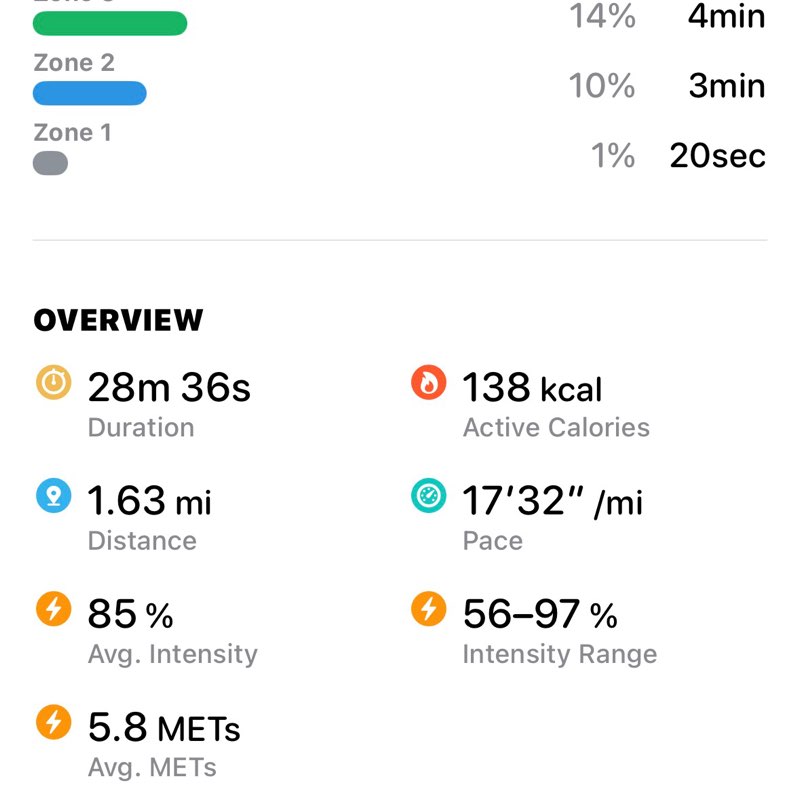 Bkturtle🐢🐢🐢/Pacers Susan post image
