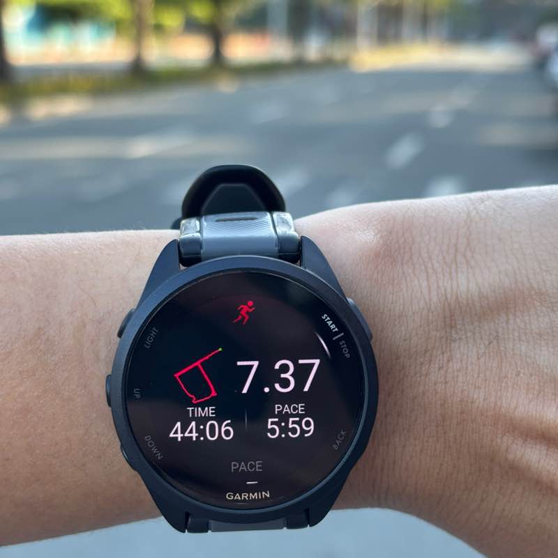 TAP WALK-AHOLICS Manuel Panahon - PF post image