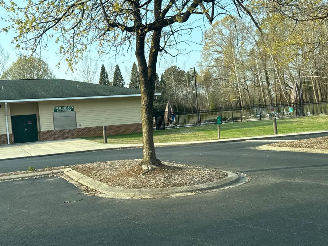 walking near me in Bur-Mill Park in spring