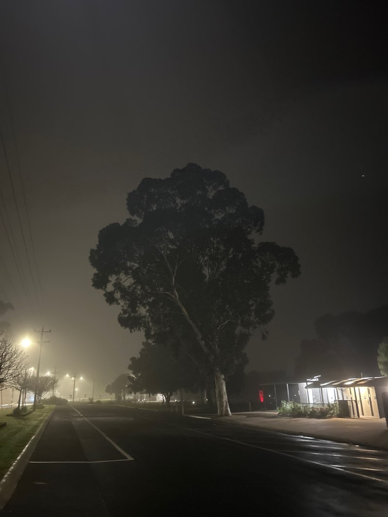 walking near me in Atkinson Park in winter