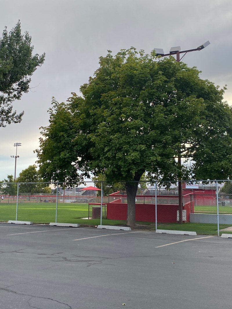 walking near me in Russell Swenson Baseball Complex in summer