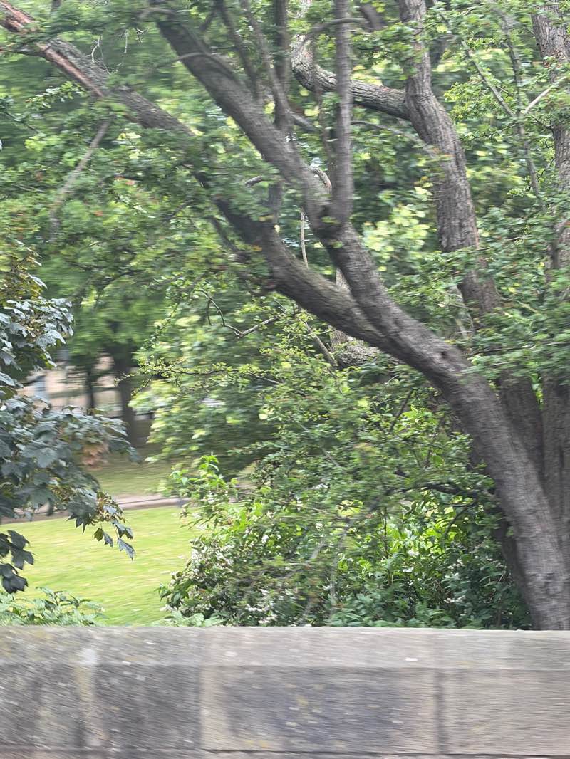 walking near me in Tower Gardens, St George's Field in summer