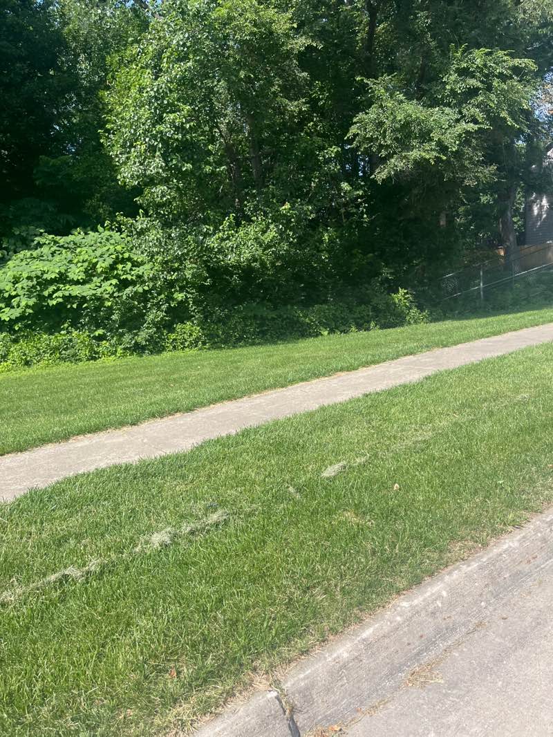 walking near me in Northview Estates Park in summer