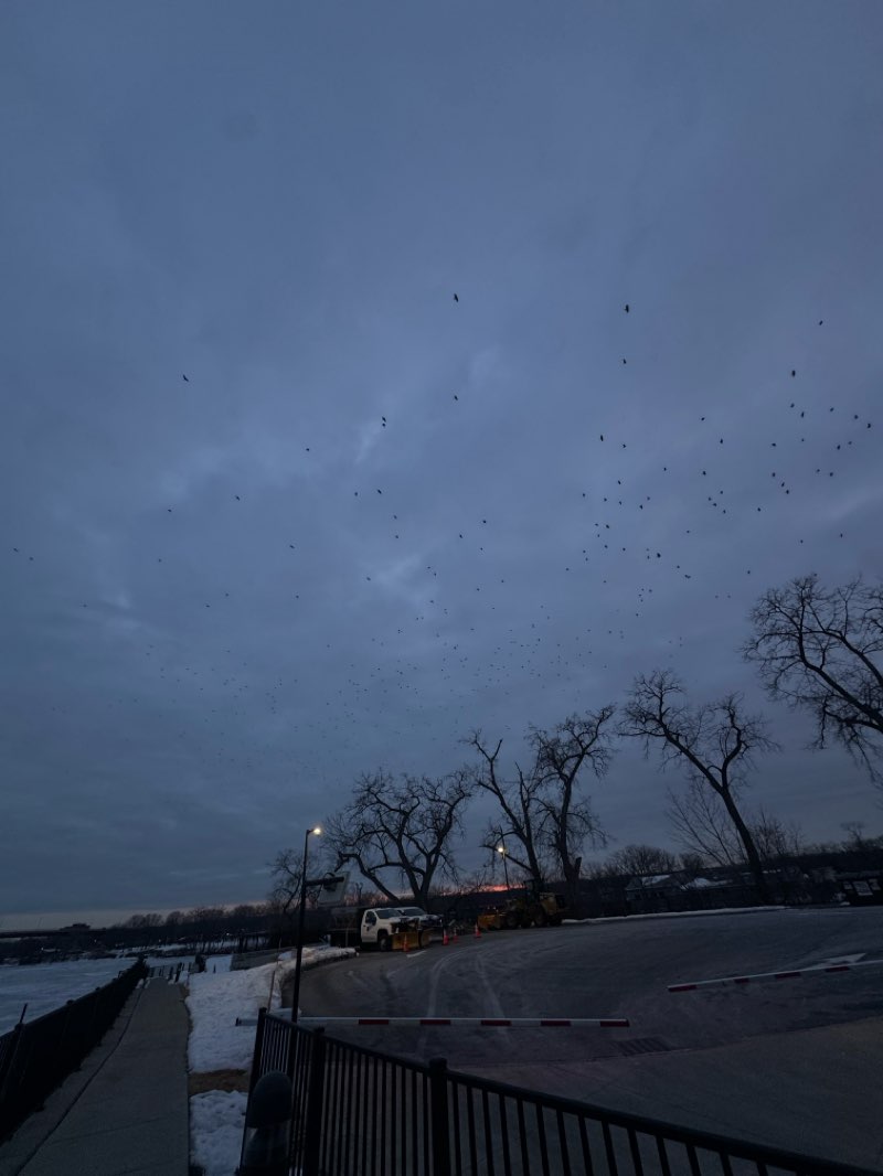 walking near me in Sage Park in winter