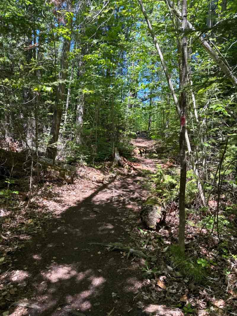 walking near me in Mantle Lake Park in summer