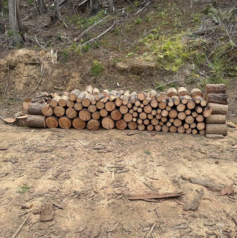 Lumberjack⚓️🪓