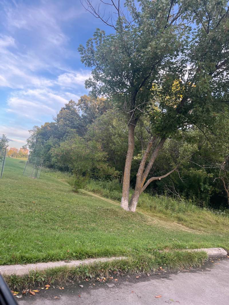 walking near me in Assiniboine Park in autumn