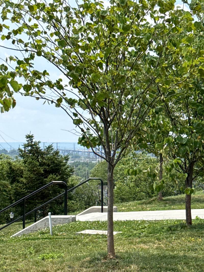 walking near me in Leonard Gordon Park / "Mosquito Park" in summer