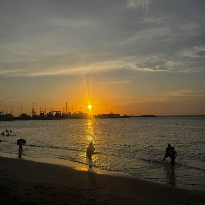 Mush 🐈 Angelica post image