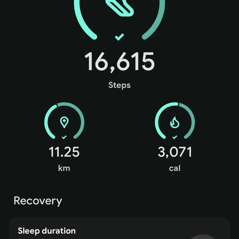 Mush 🐈 anya post image