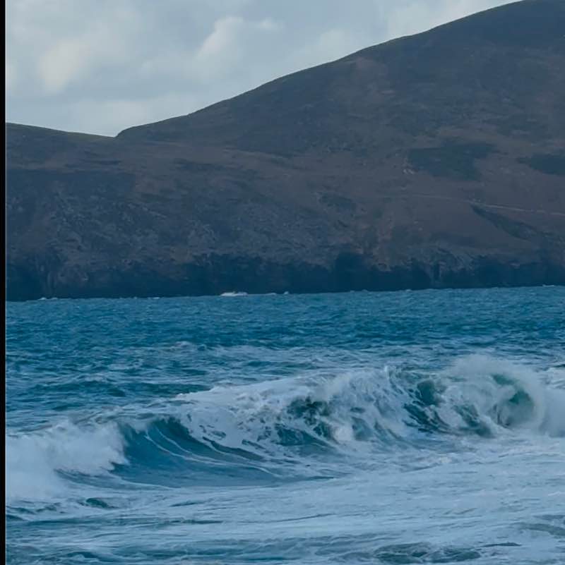 Mush 🐈 anya post image