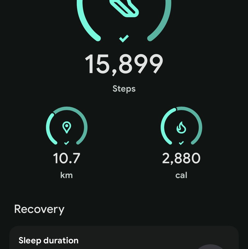 Mush 🐈 anya post image