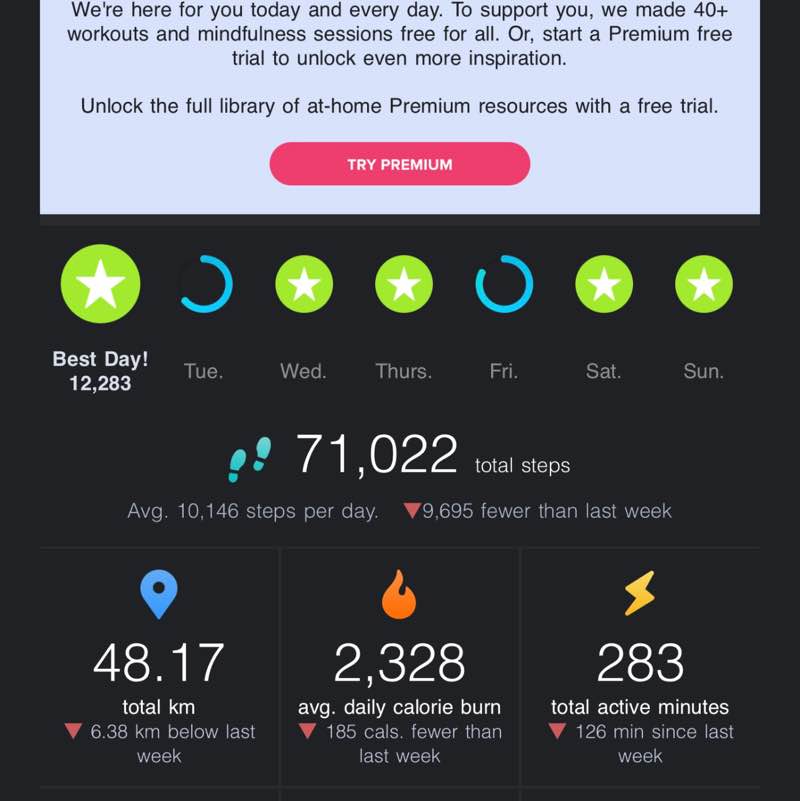 Mush 🐈 anya post image