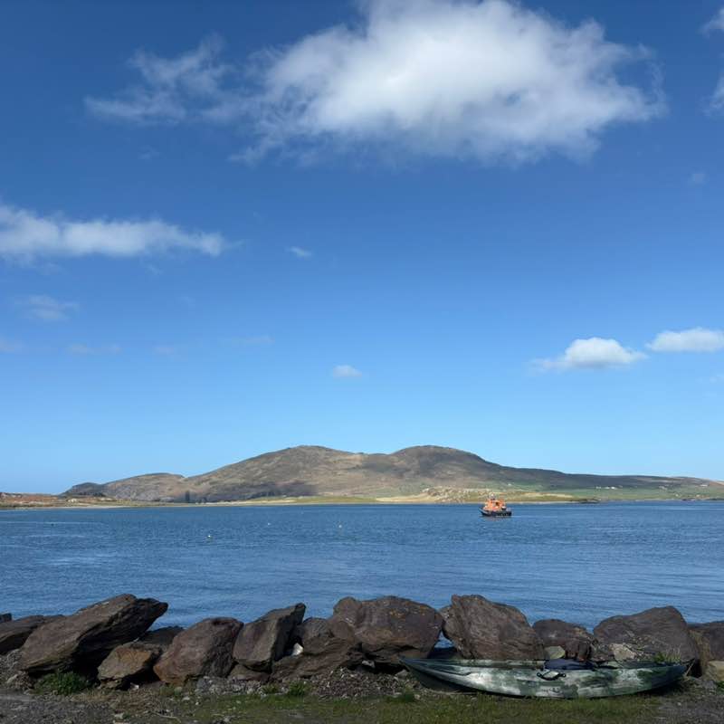 Mush 🐈 anya post image