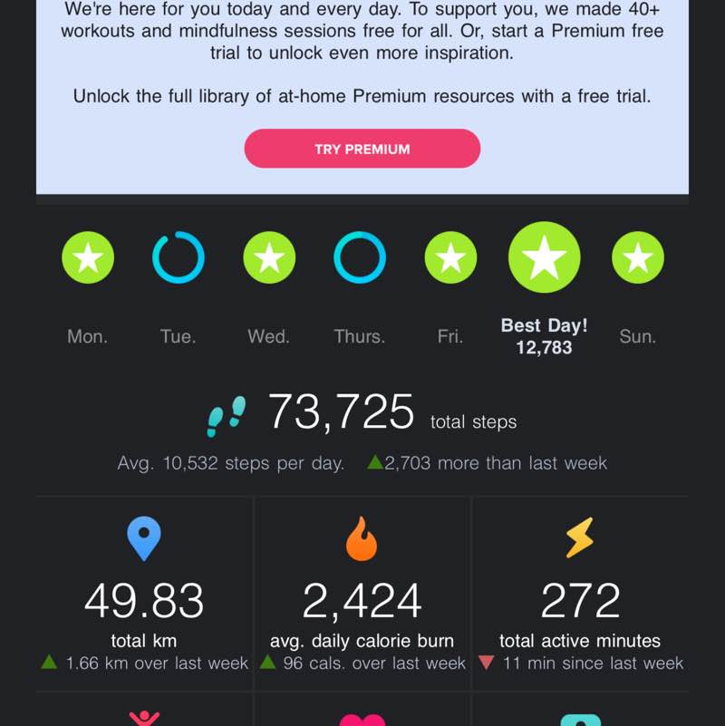 Mush 🐈 anya post image