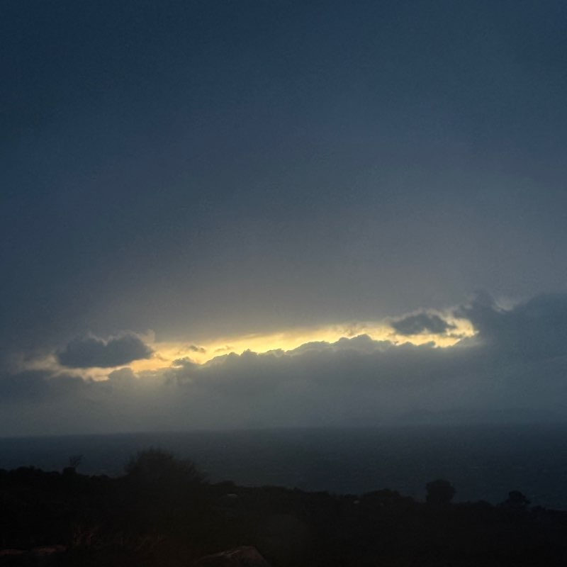 Mush 🐈 anya post image