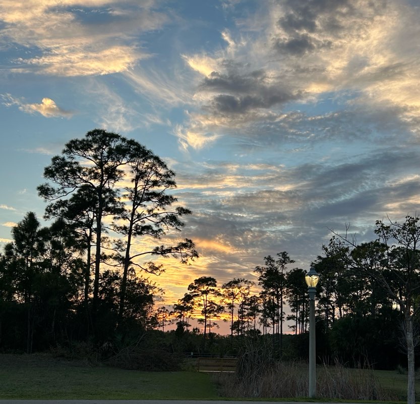 walking near me in Acreage Community Park in spring