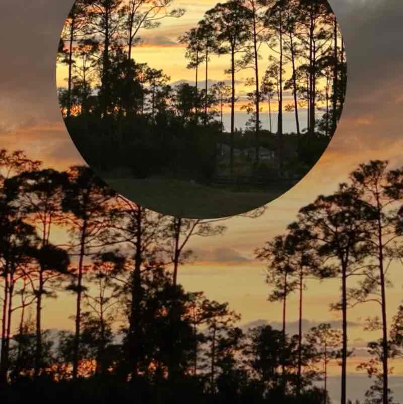 Vida saludable/healthy life. Carlos post image