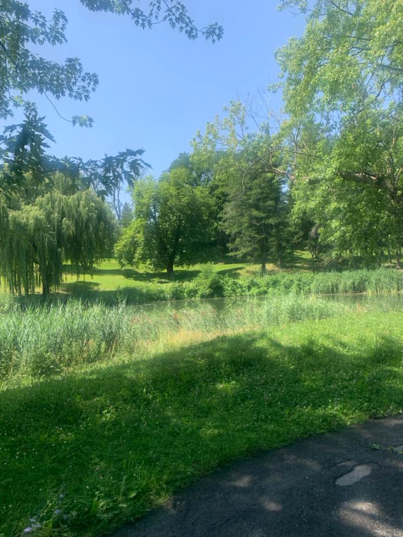 walking near me in Washington Park in summer