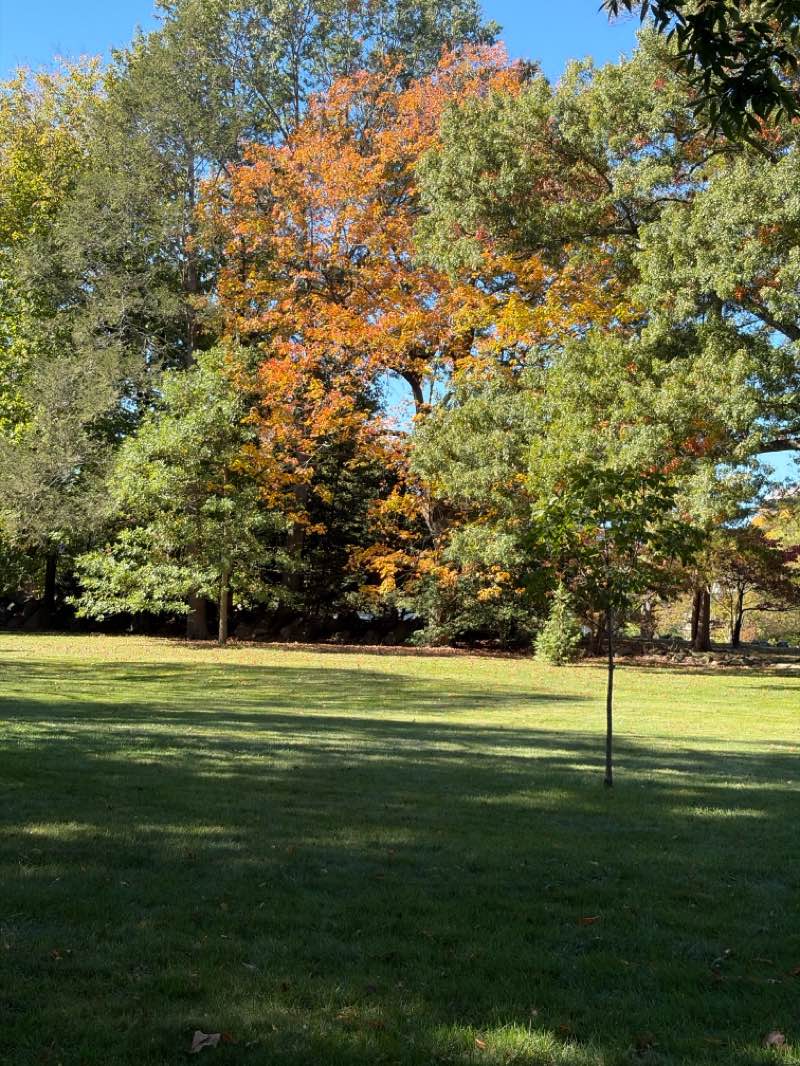 walking near me in Blackstone Boulevard Park in autumn