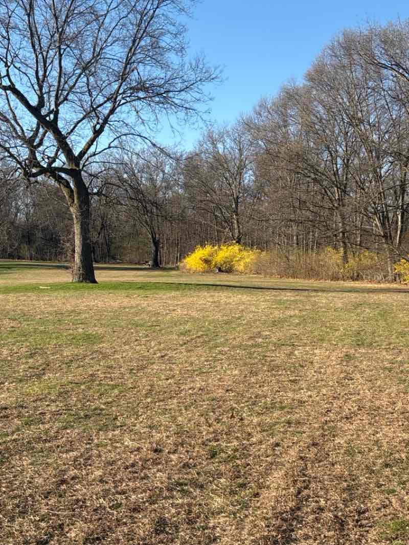 walking near me in Wanskuck Park in spring