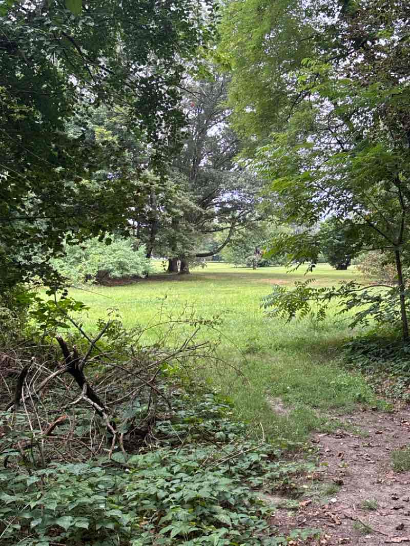 walking near me in Wanskuck Park in summer