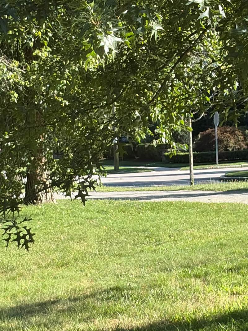 walking near me in Blackstone Boulevard Park in summer