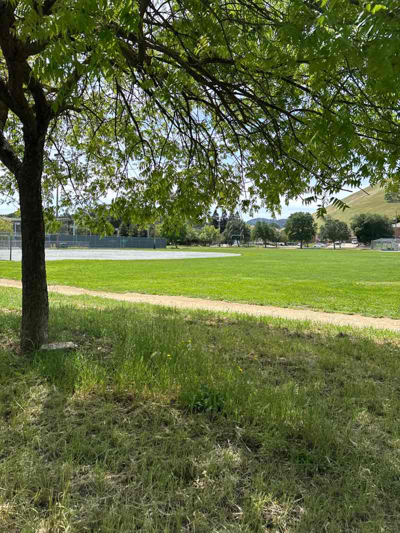 walking near me in Morgan Hill Community Park in spring