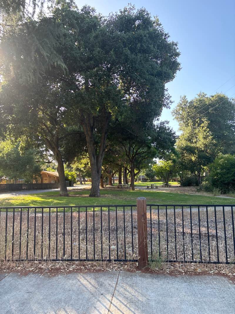 walking near me in Diana Park in summer