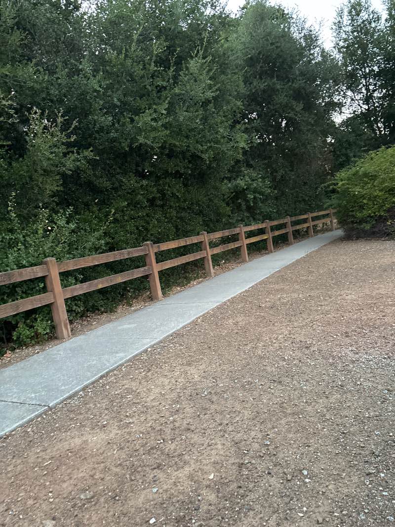 walking near me in Babbs Creek Park Preserve in summer