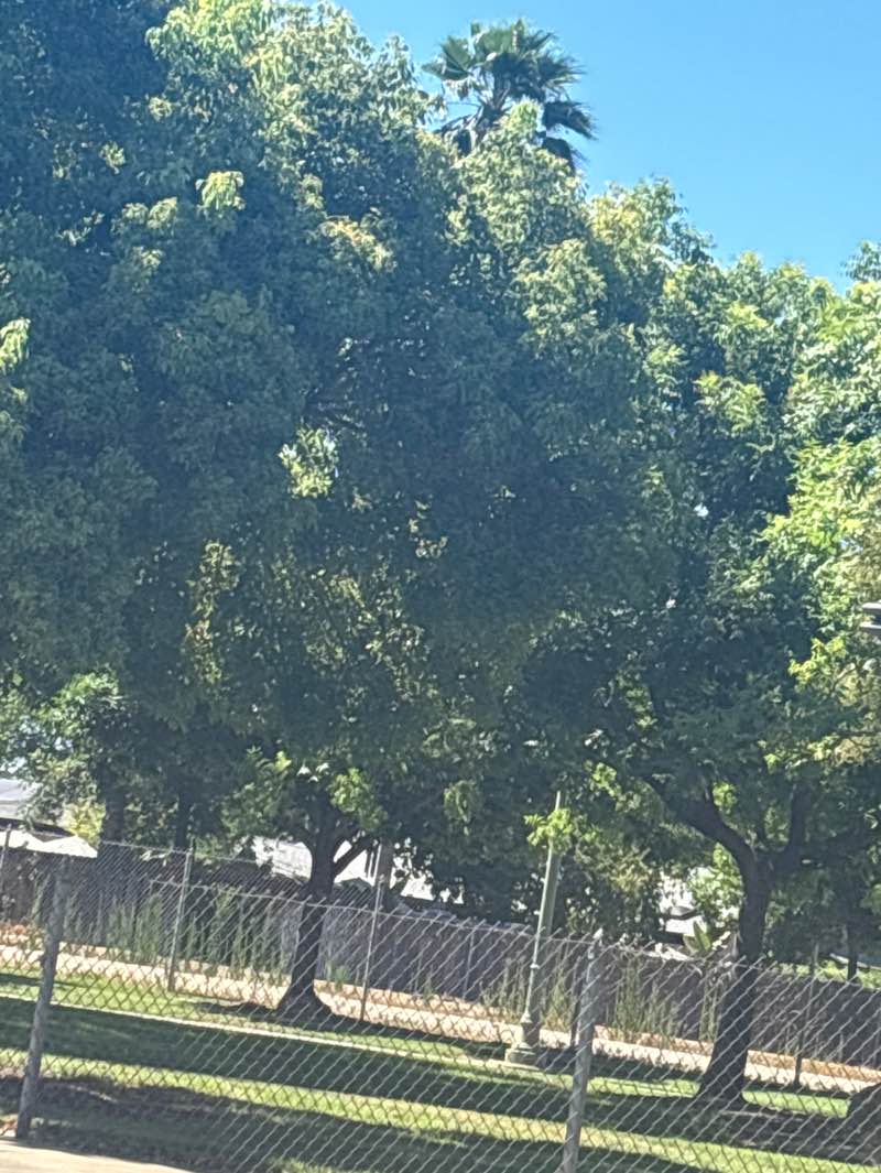 walking near me in South Basin in summer