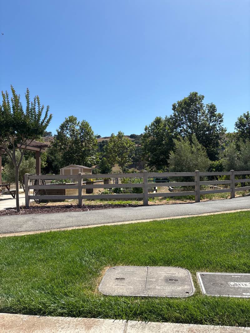 walking near me in Madrone Commons in summer