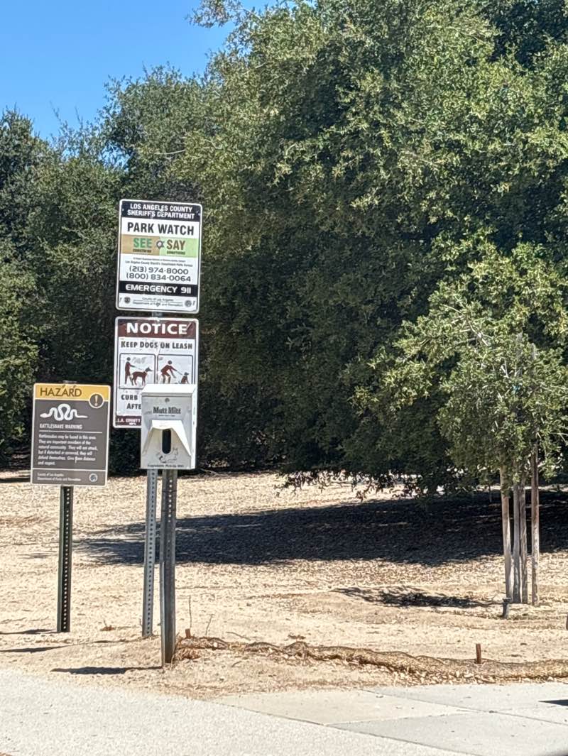 walking near me in Pico Canyon Park in summer