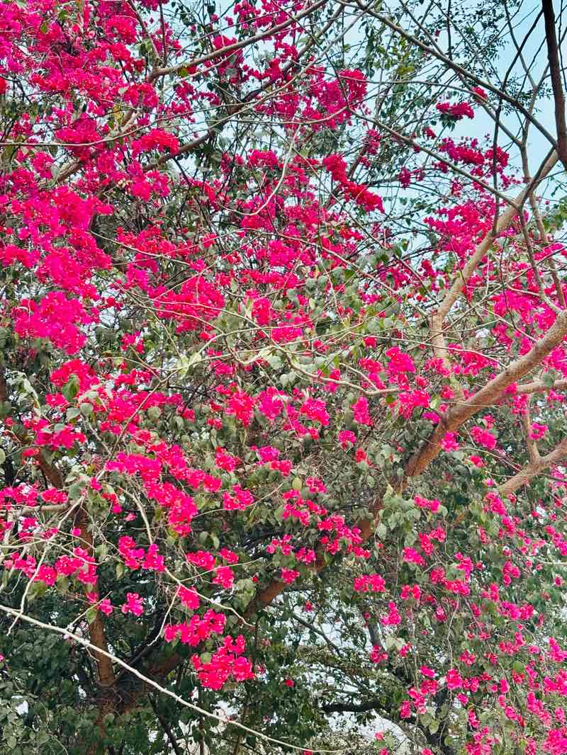 walking near me in BHEL Hockey Court in winter