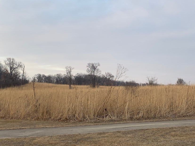 walking near me in Albany Mounds Site in spring