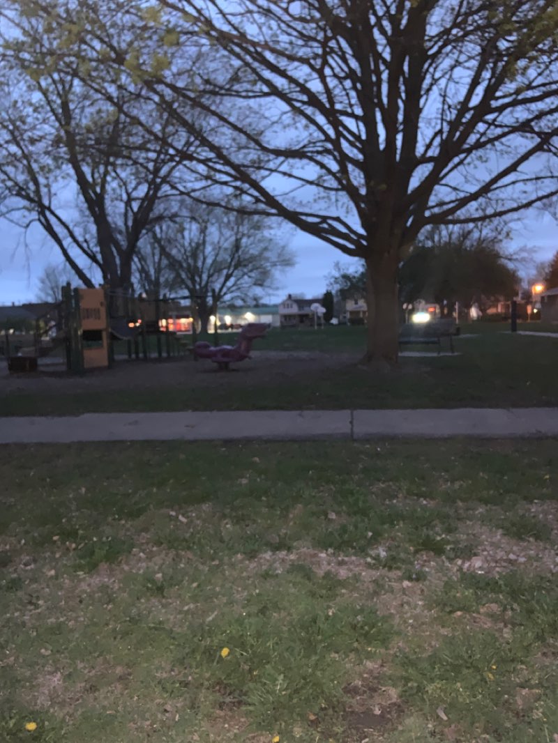 walking near me in Clinton Park in spring