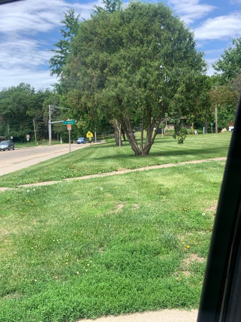 walking near me in Edwin P Neubauer Park in summer